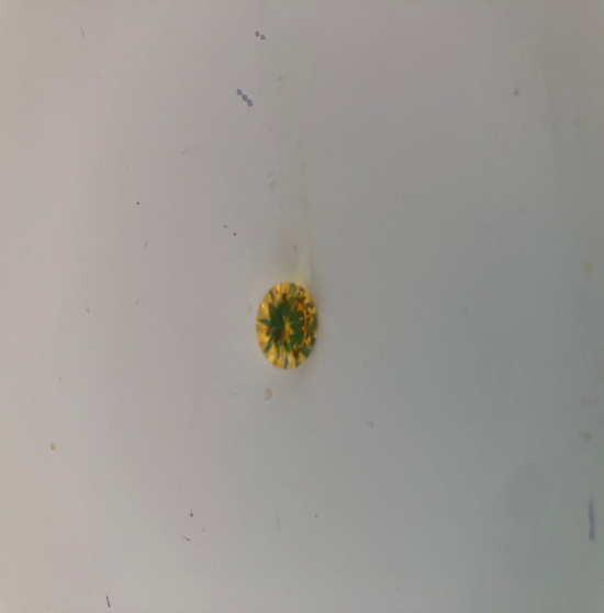 Cubic zirconia rond yellow 8 mn