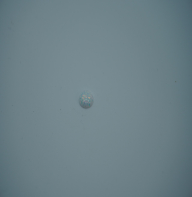 Opal Oval White 8*10mn
