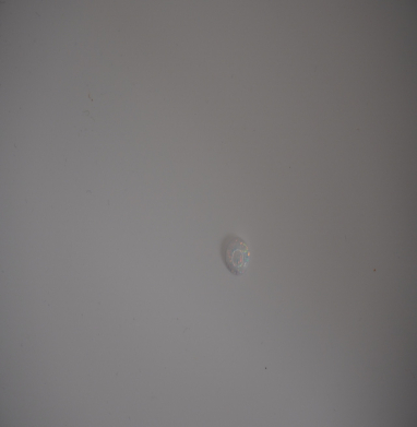 Opal synthetic white rond 8 mn