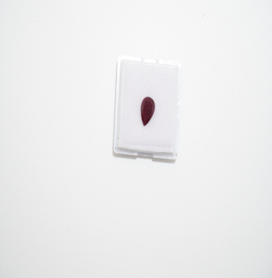Ruby,s naturel 1.90 blood pigeon pear