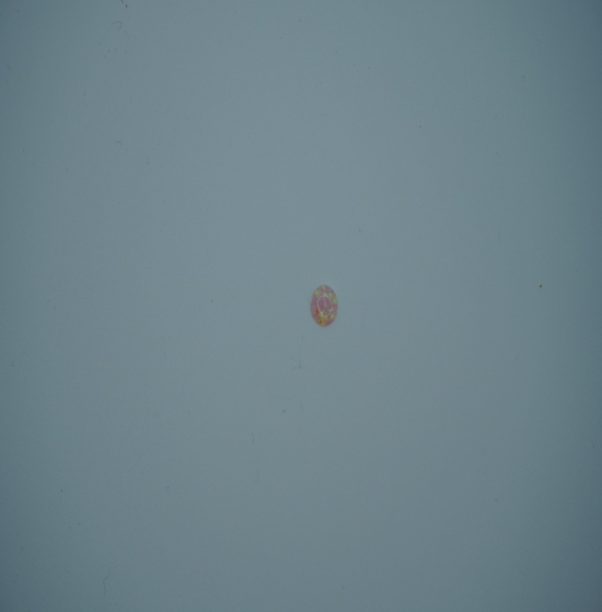 Opal synthetic oval PINK 6mn