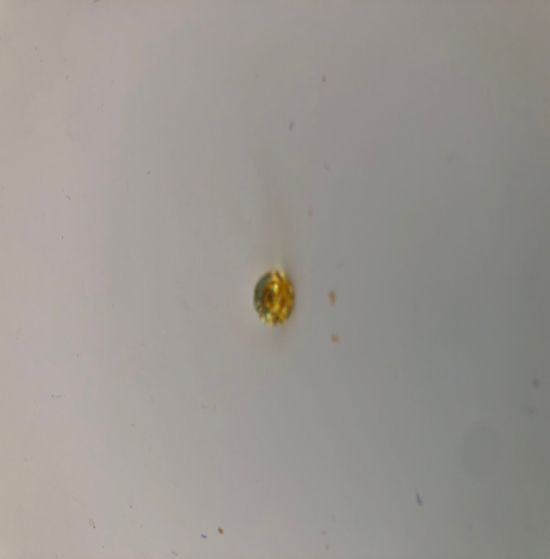 Cubic zirconia rond yellow 6 mn