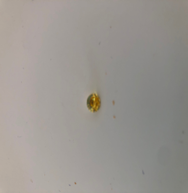 Cubic zirconia rond yellow 6 mn